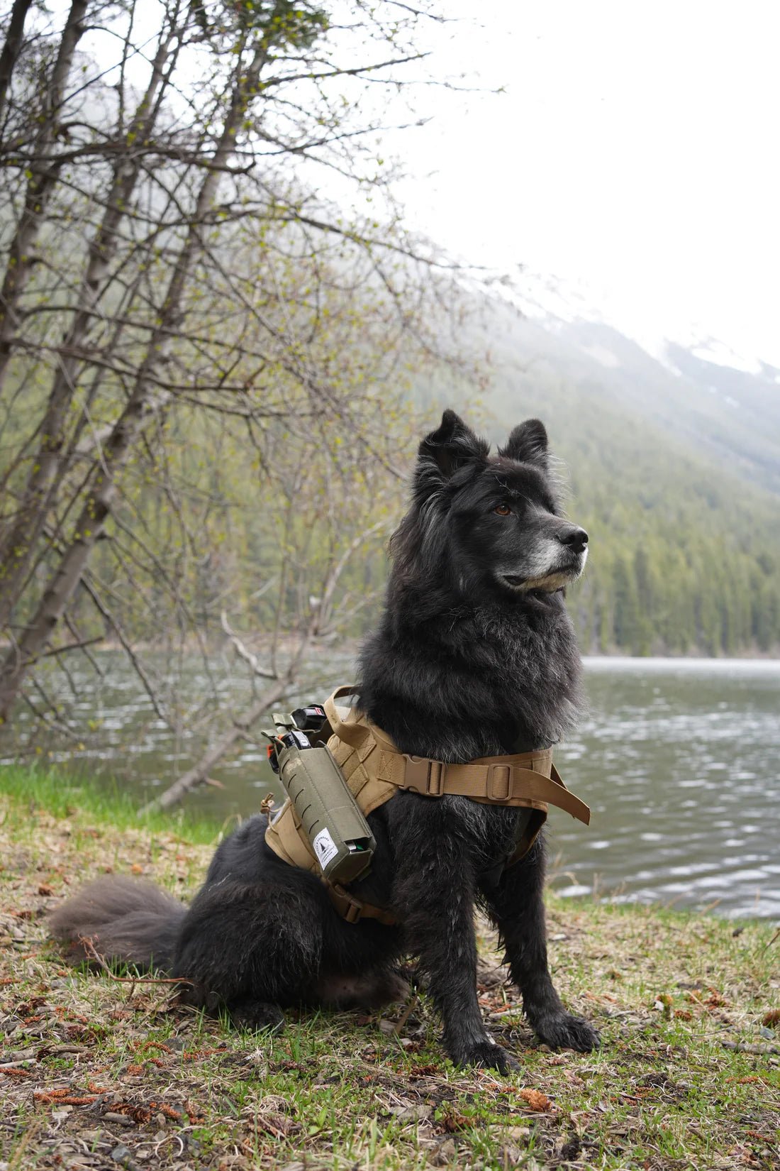 Bear Spray Holster - Dale and Company