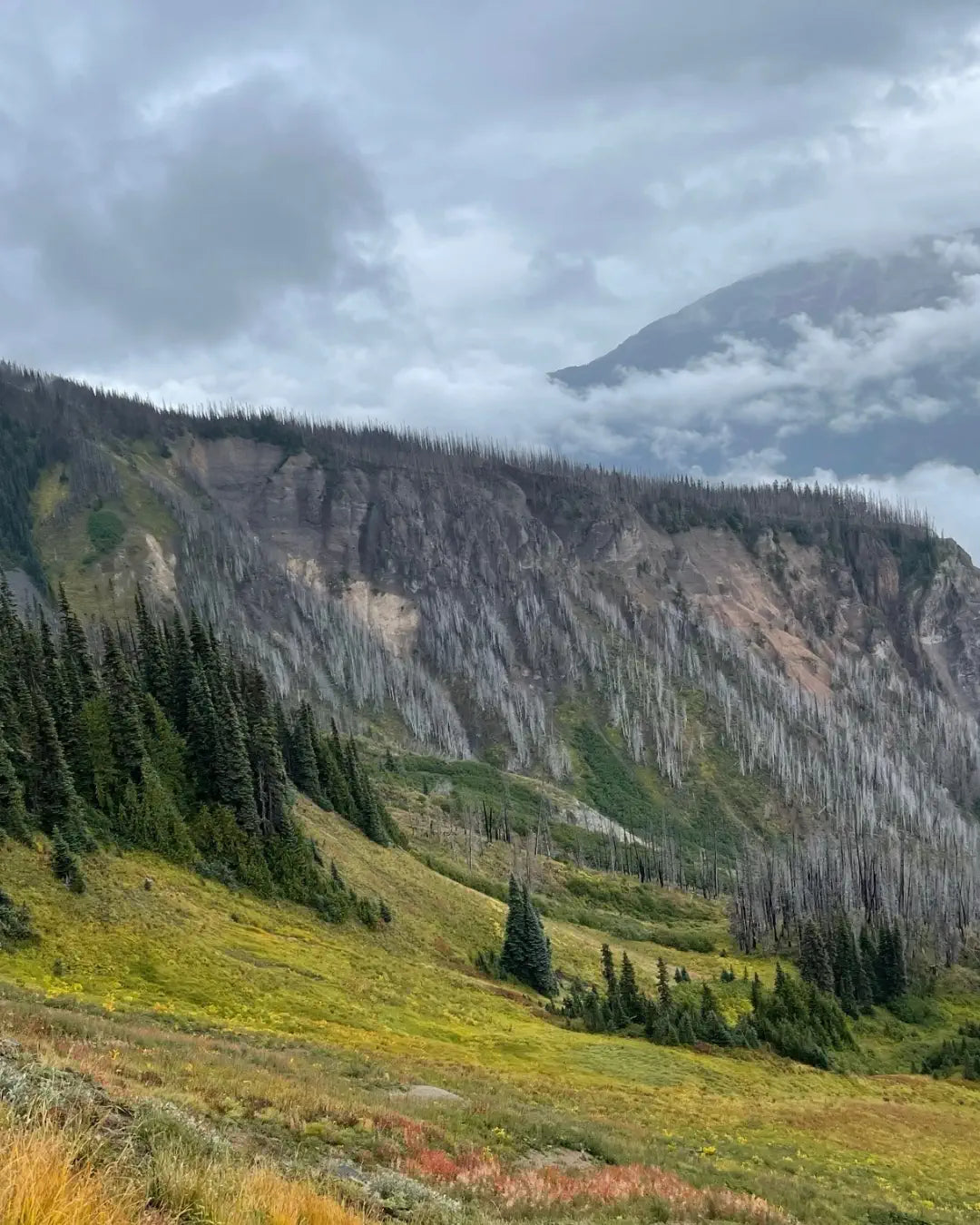 Dale & Company (1).webp__PID:5e50fc3c-8871-4d15-91c1-6ea25a6fd503